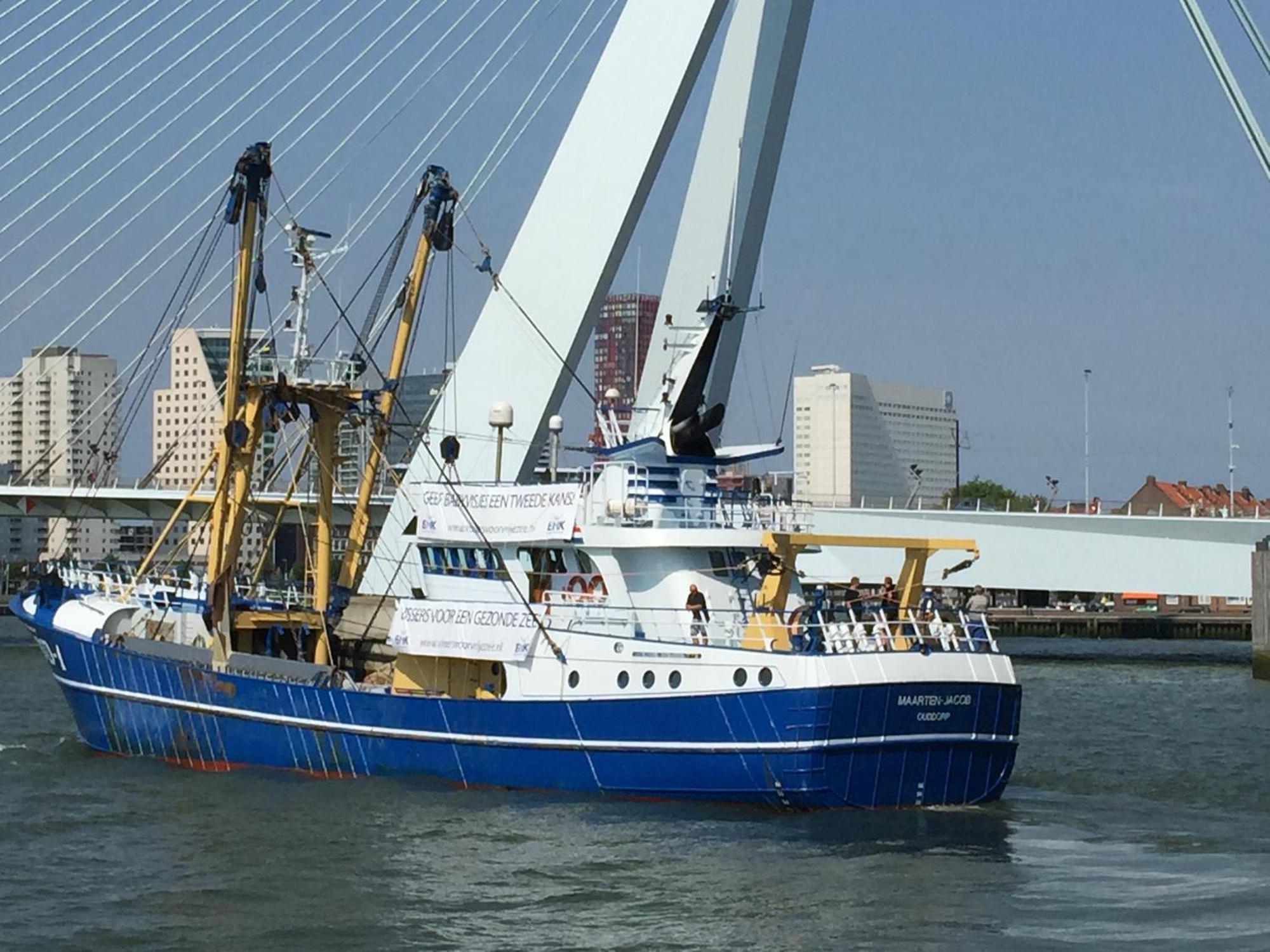 B&B Prive Tiny House Bij Zee Stellendam Dış mekan fotoğraf