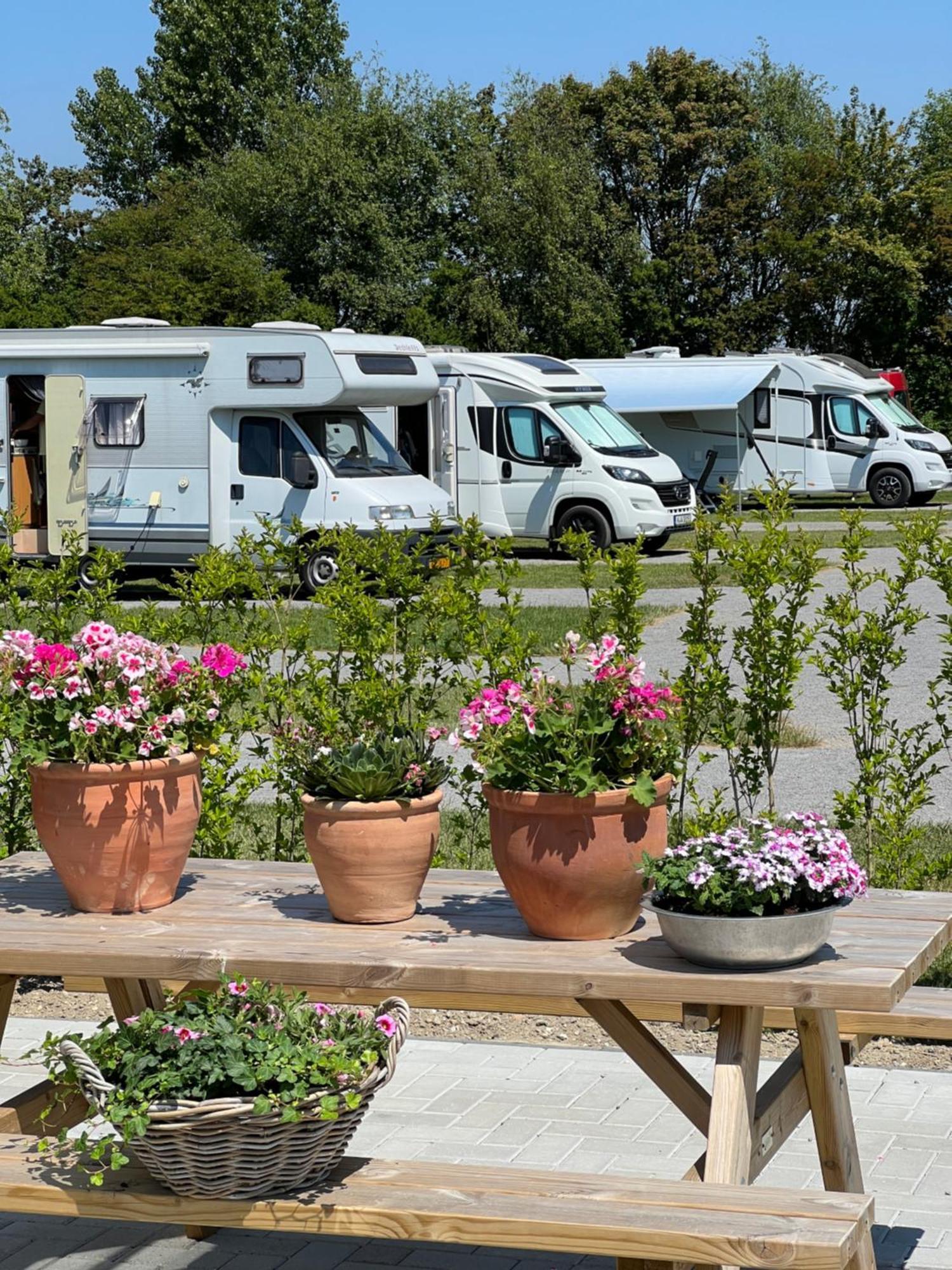 B&B Prive Tiny House Bij Zee Stellendam Dış mekan fotoğraf
