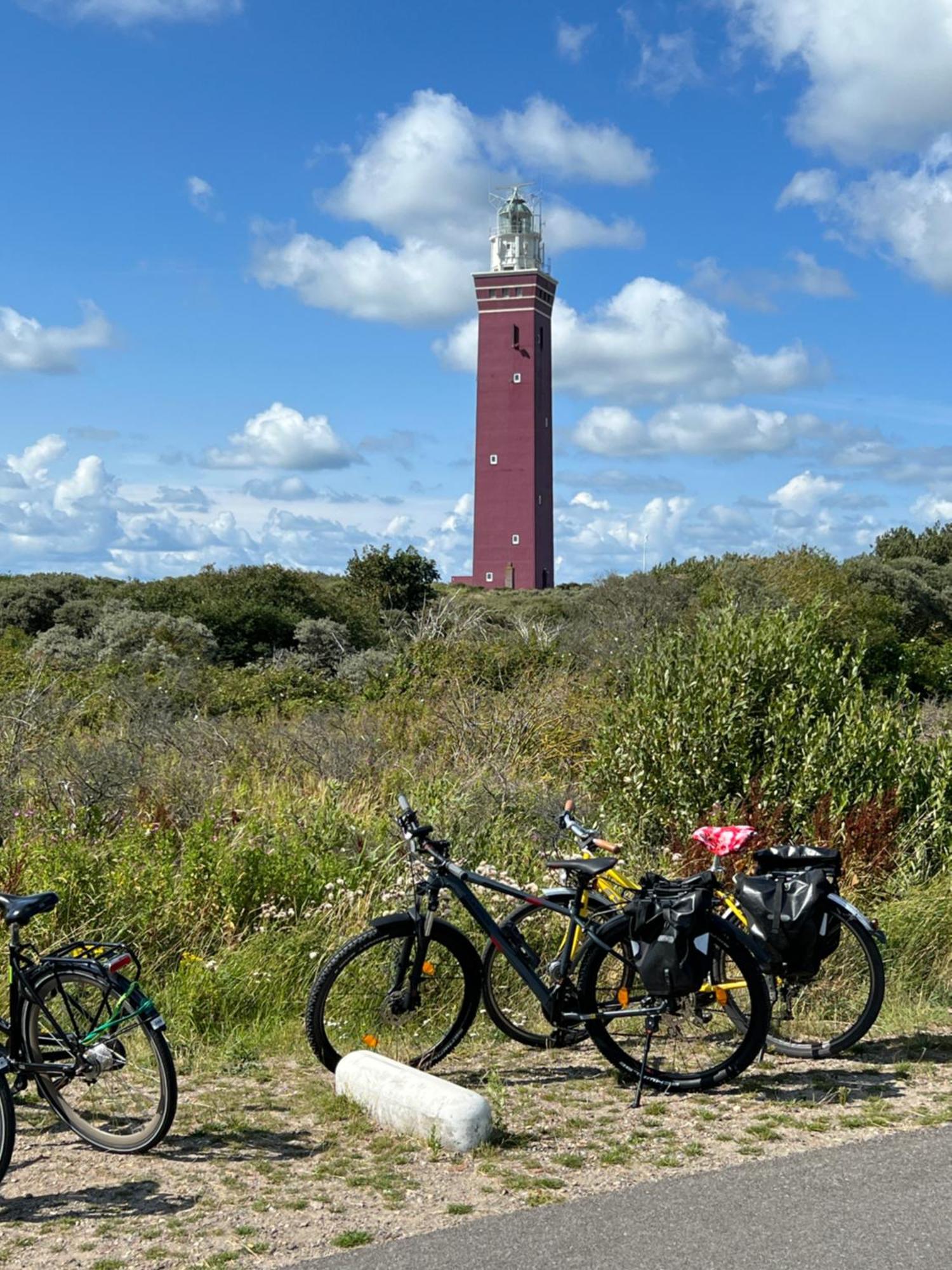 B&B Prive Tiny House Bij Zee Stellendam Dış mekan fotoğraf